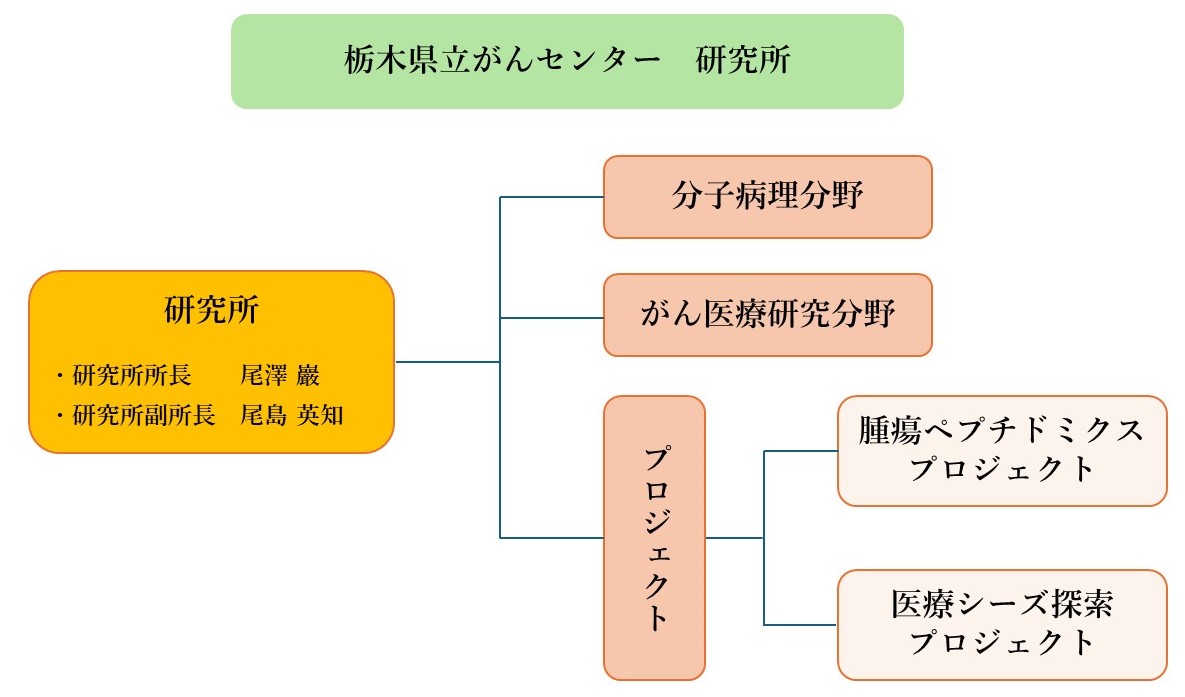 研究所　組織図